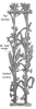 Cornstalk - An Original New Orleans Casting 