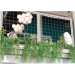 Wire Mesh Panels -10 Gauge Wire - FRZ1G
