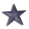 Cast Iron Star Cast Iron Star, Metal Star, Decorative Cast Iron Star, Cast Iron, TS Distributors