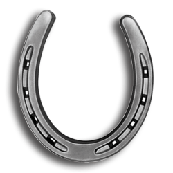 Forged Steel Horse Shoe Forged Steel Horse Shoe, Steel Horse Shoe, Horse Shoe, Forged Steel, Metal Horse Shoe, Steel Horseshoe, TS Distributors