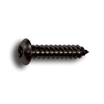 Torx Tamper Resistant Screws